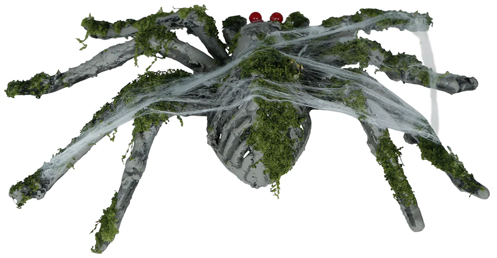 Araña Tarántula Gris con Musgo y Telarañas - Image 5