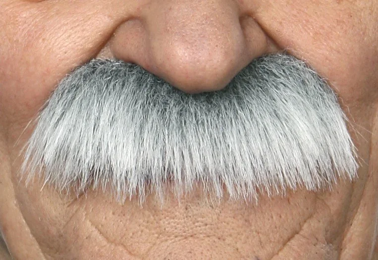 Bigote Canoso