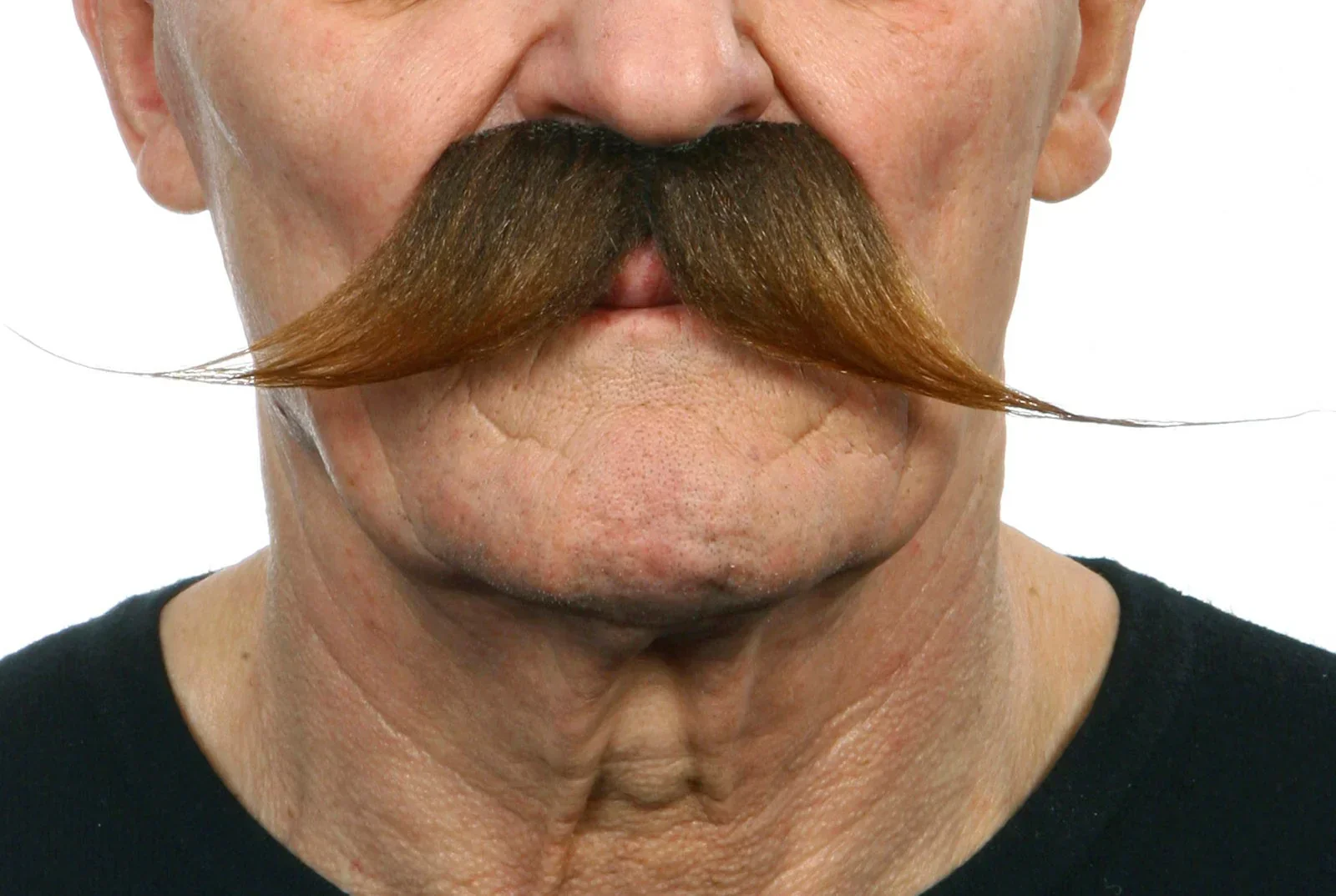 Bigote Grande de Puntas Largas - Image 2