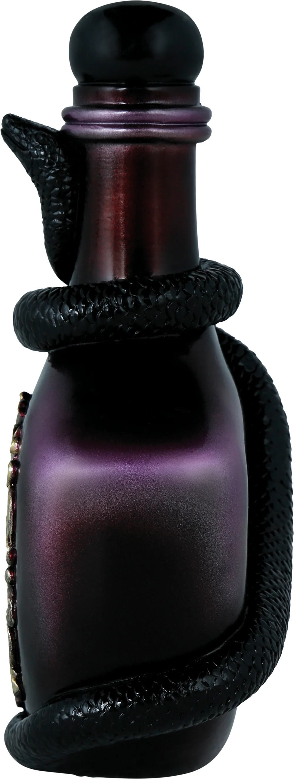 Botella de Veneno de Víbora para Decoración de Halloween - Image 3