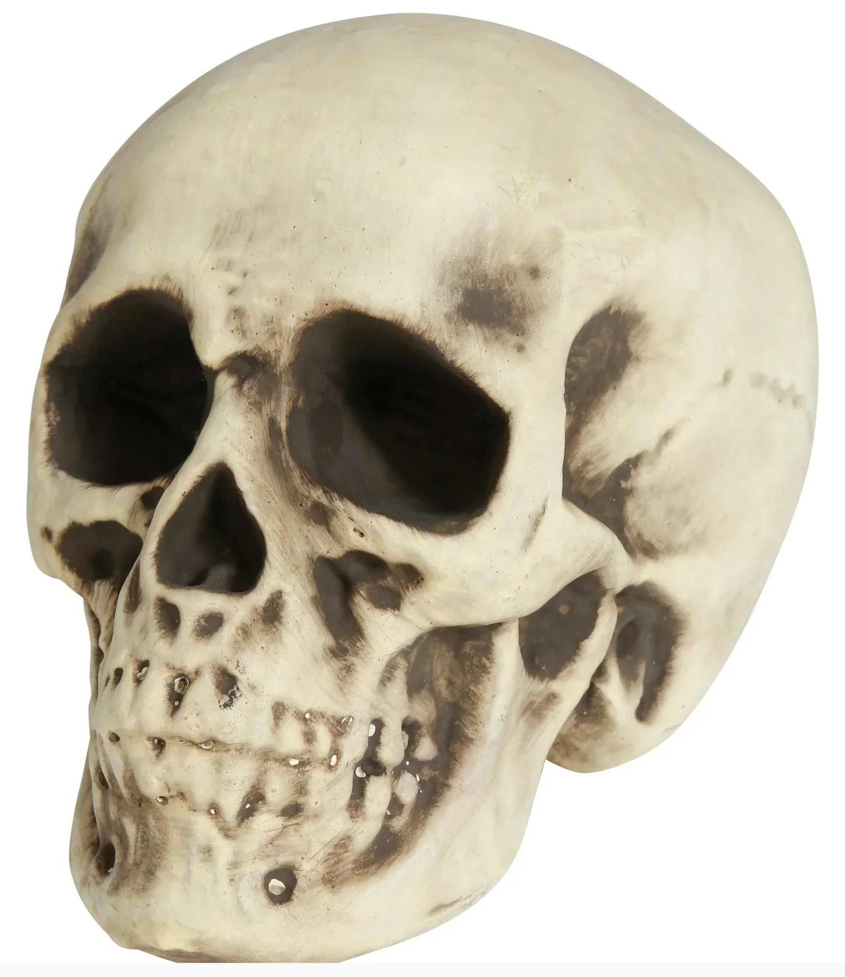 Calavera para Decoración de 20cm