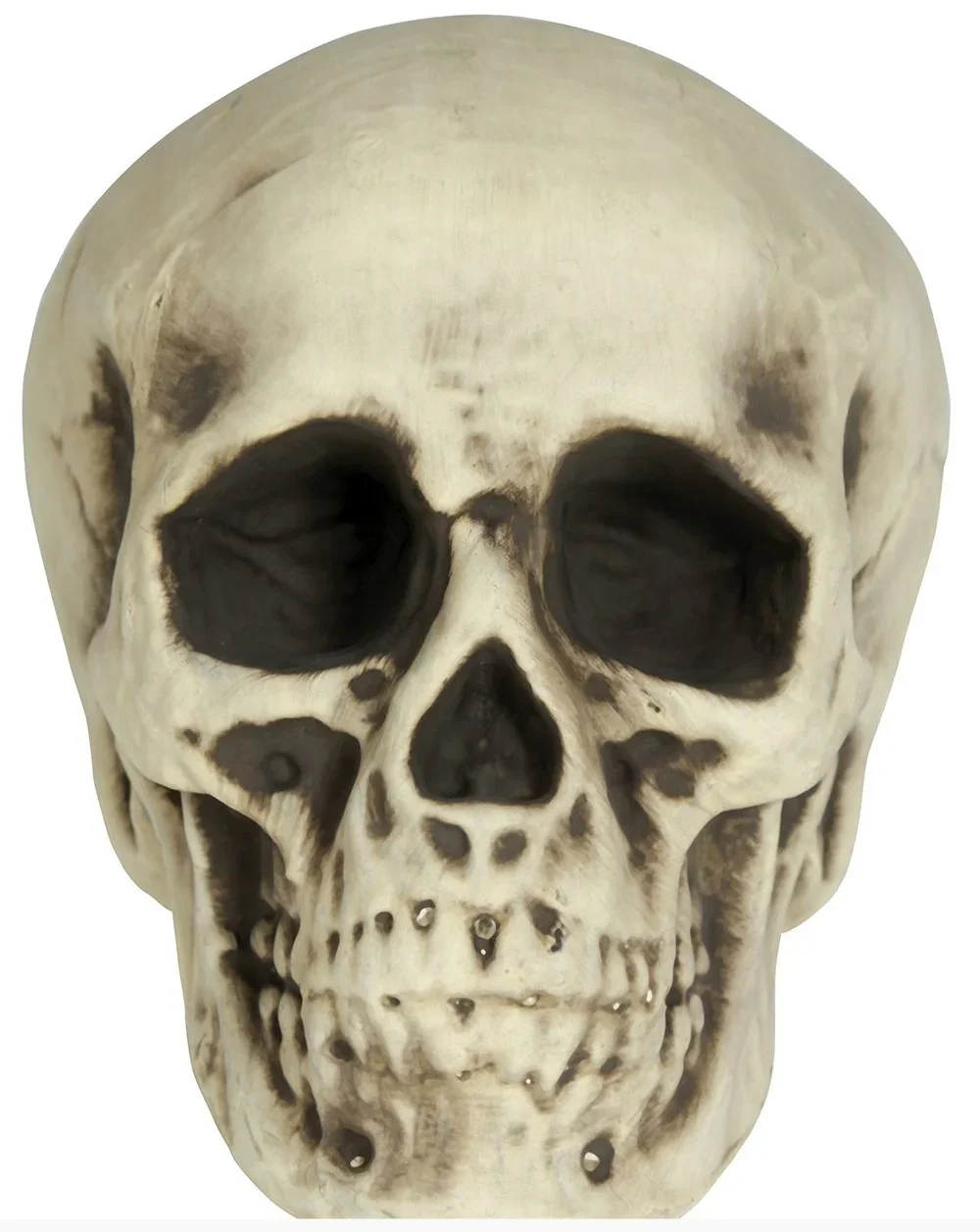 Calavera para Decoración de 20cm - Image 2