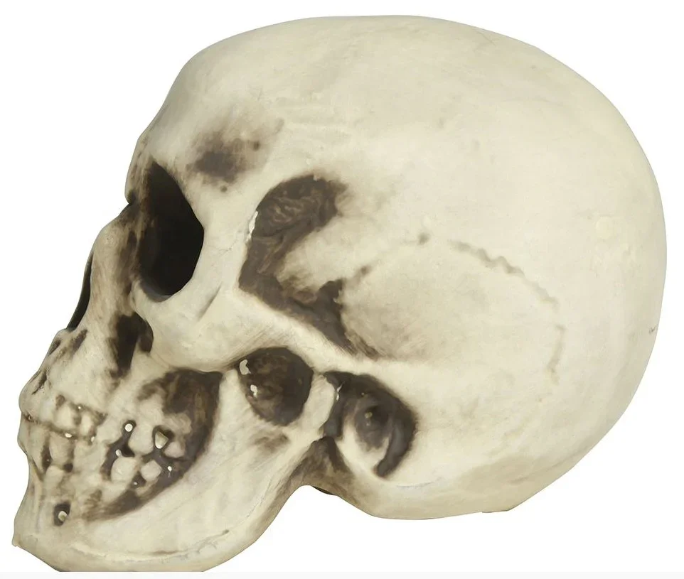 Calavera para Decoración de 20cm - Image 3