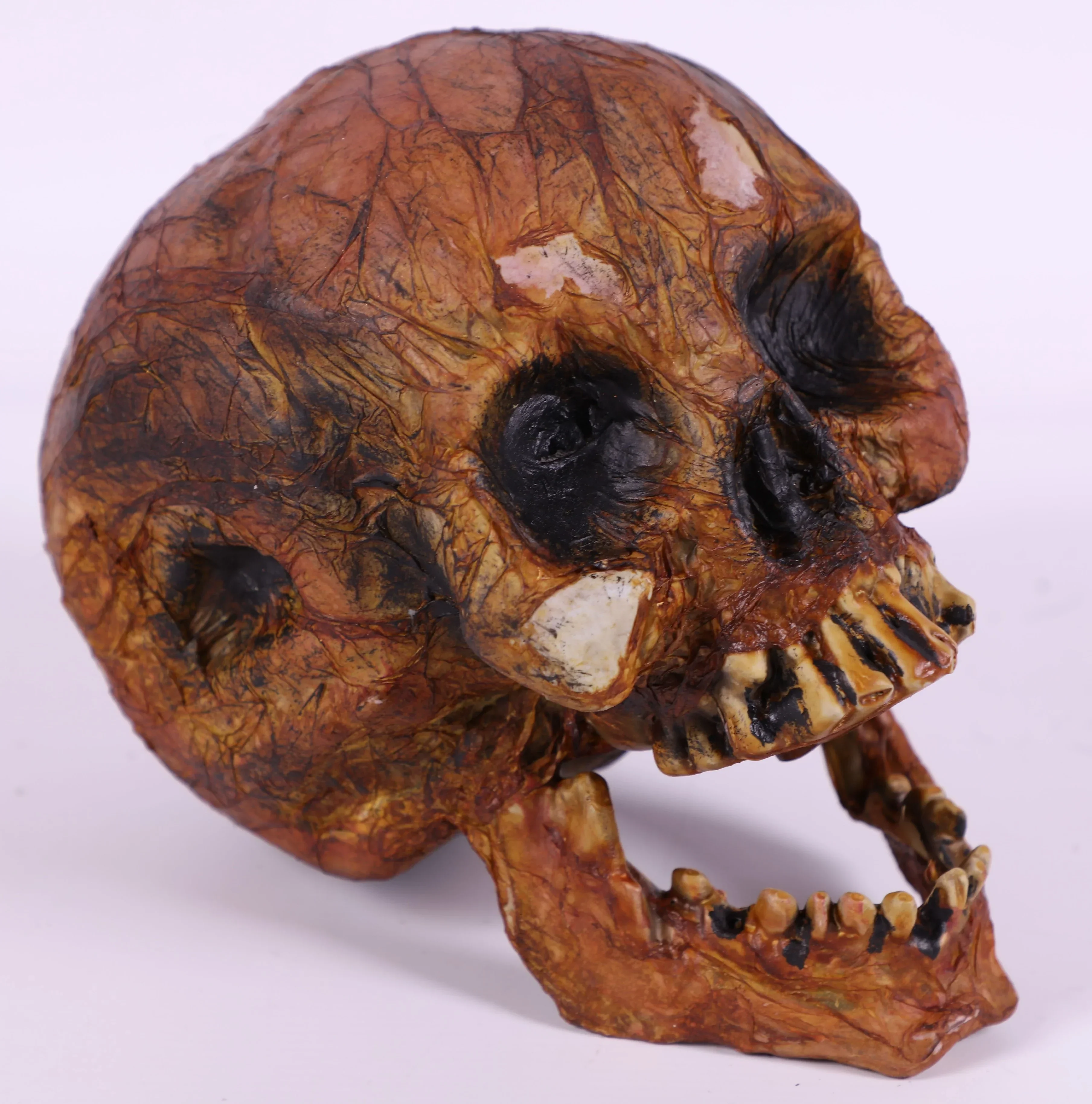 Calavera Envejecida Realista - Image 3