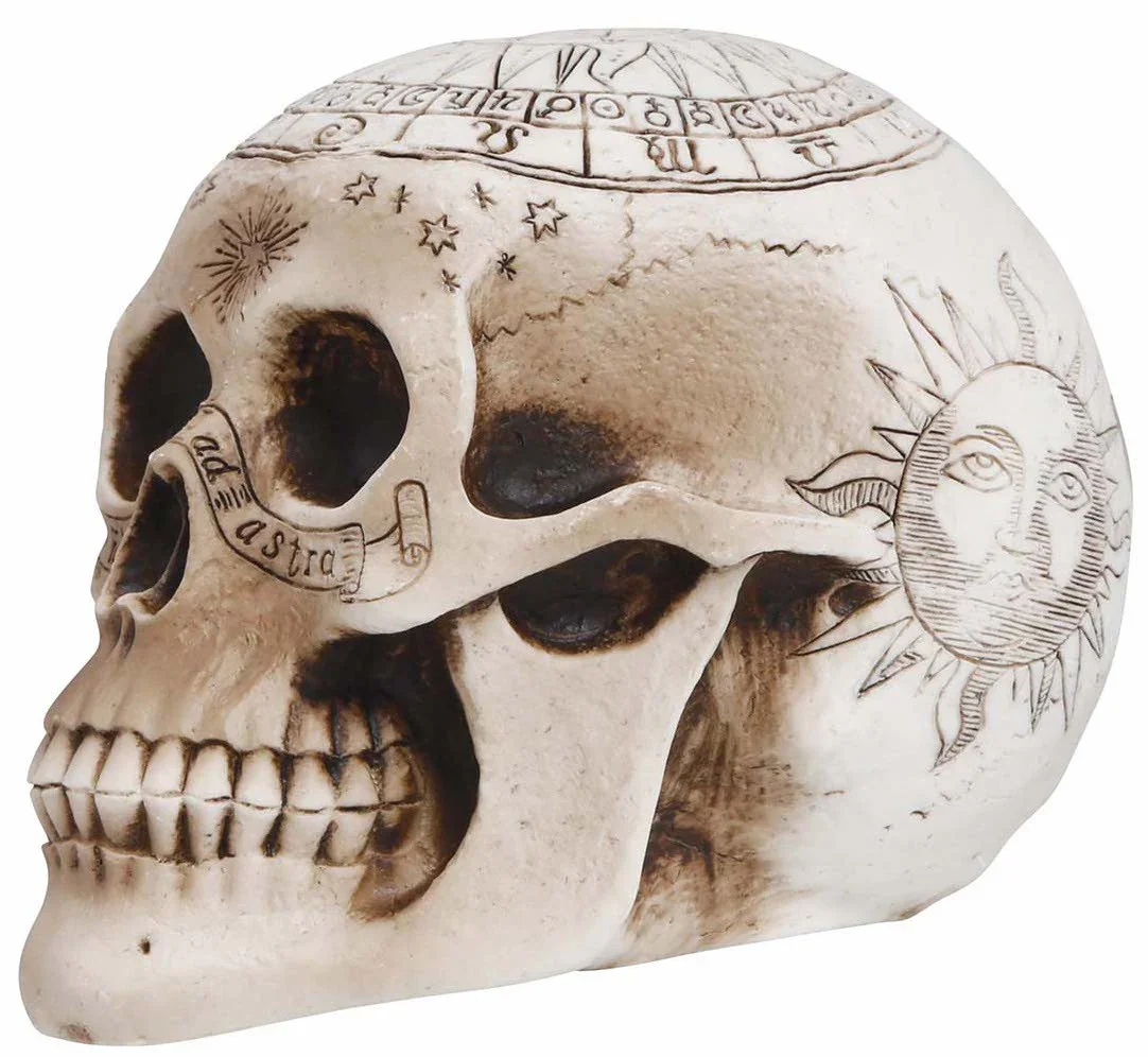 Calavera Espiritismo de Decoración 20cm - Image 2