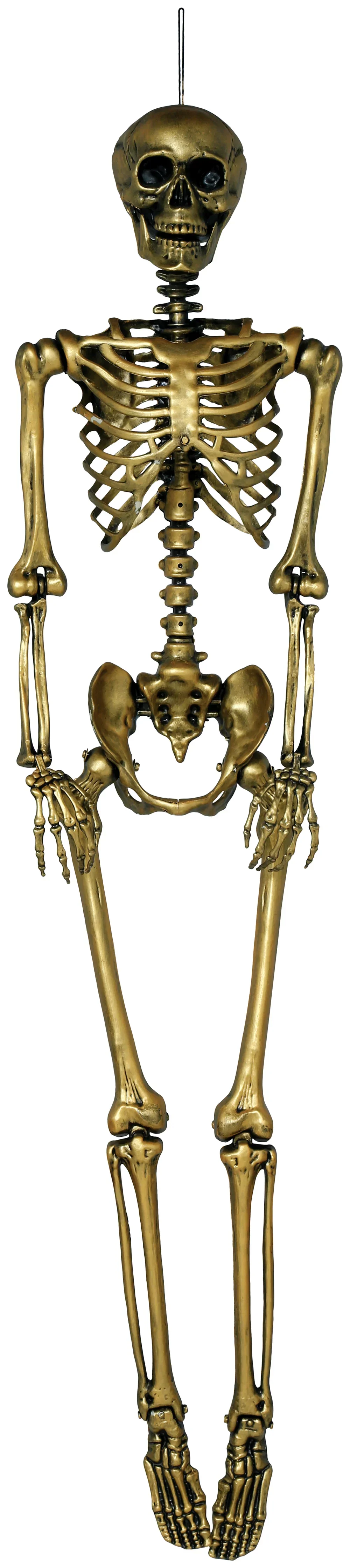 Esqueleto Dorado para Decoración de 160cm - Image 3