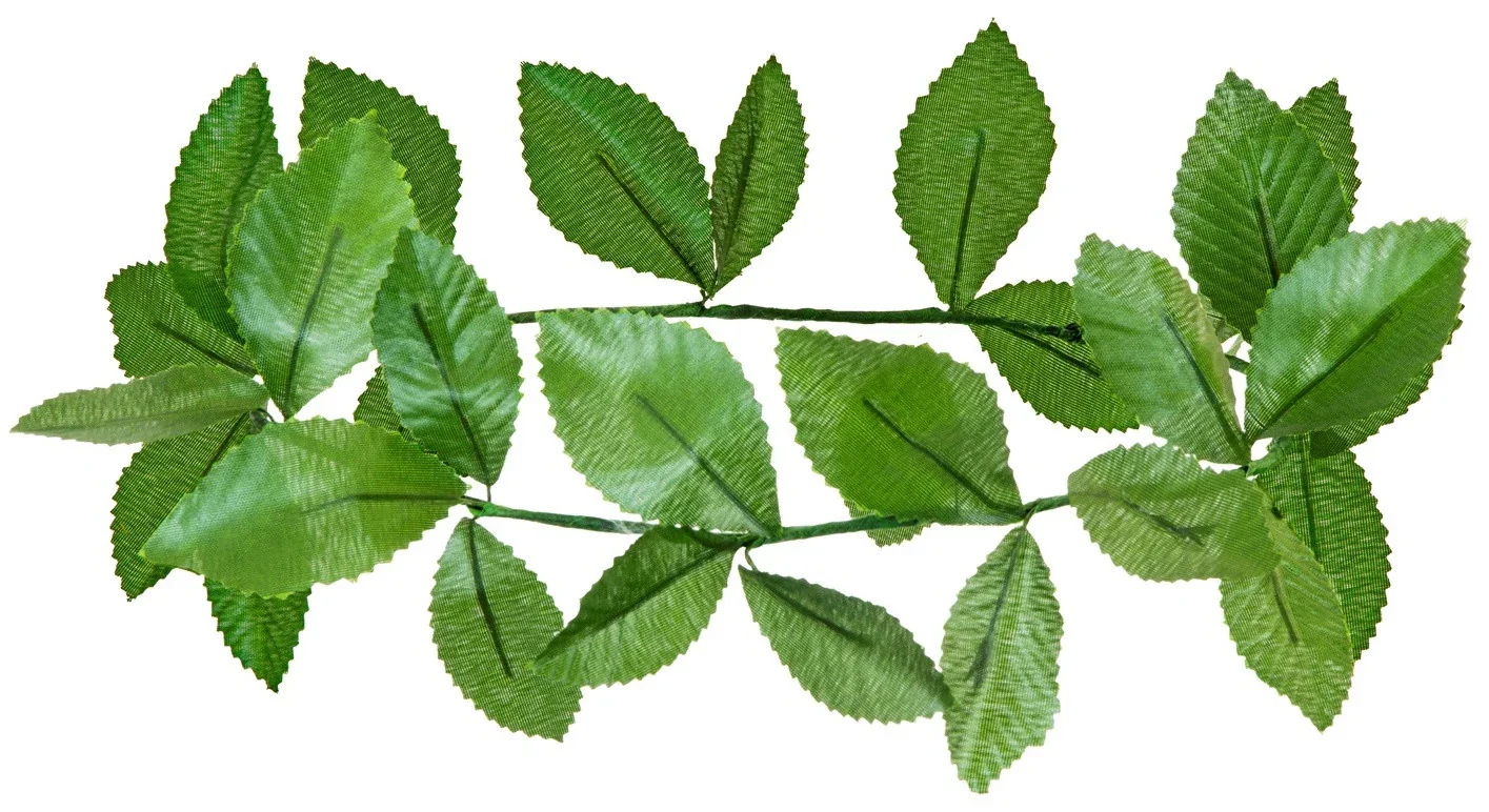 Laurel para la cabeza - Image 5