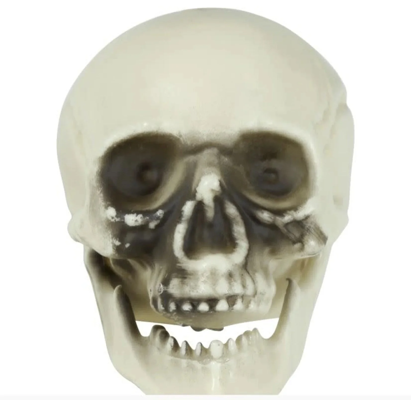 Pack 06 Calaveras Halloween para Decoración