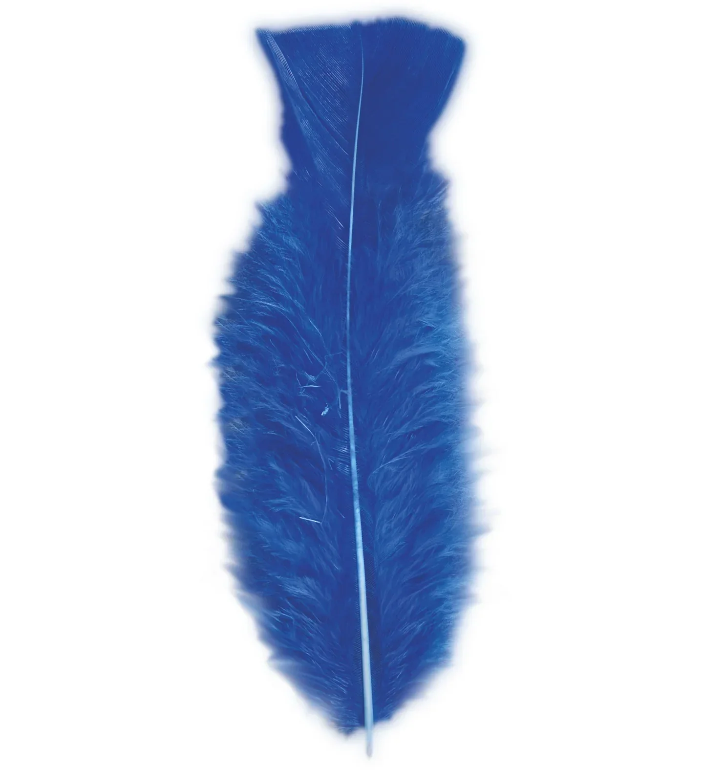 Pack de 50 Plumas de Colores - Image 12