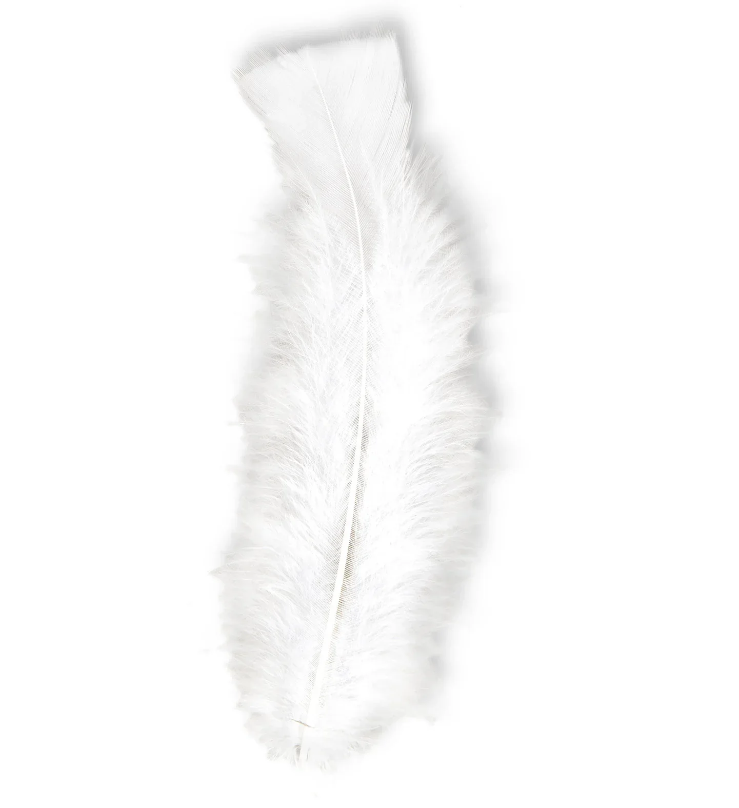 Pack de 50 Plumas de Colores - Image 4