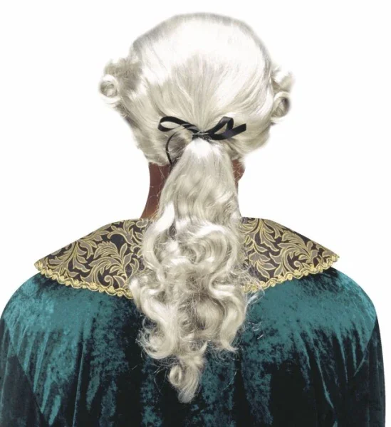 Peluca Gris de Época con Coleta para Hombre - Image 4