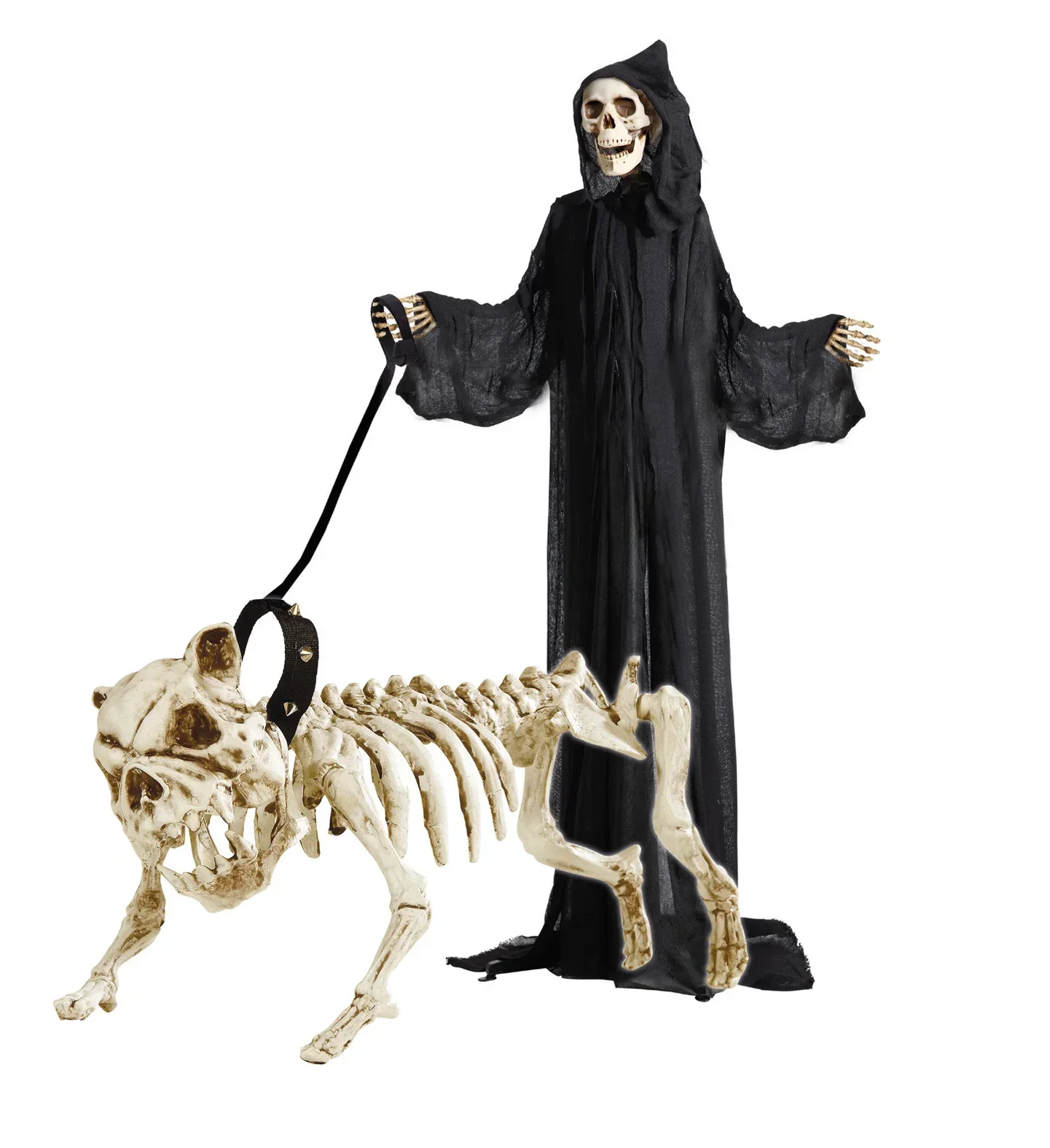 Perro esqueleto con correa - Image 2