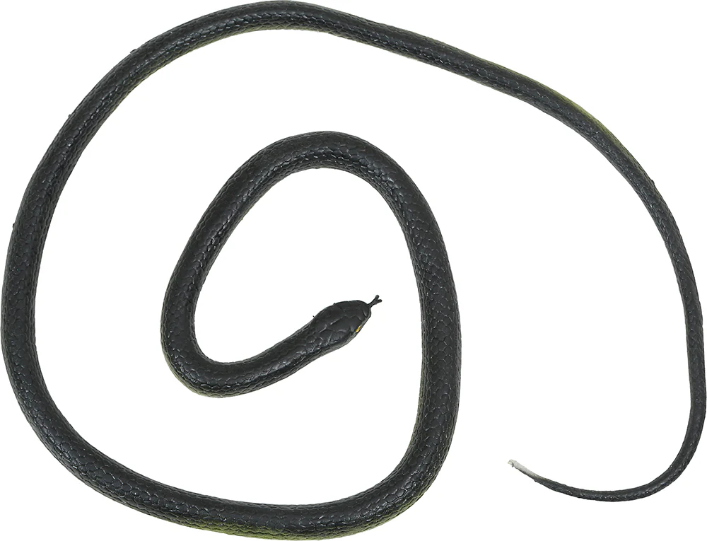 Serpiente de Broma con Hilo de Nailón y Pinza - Image 4