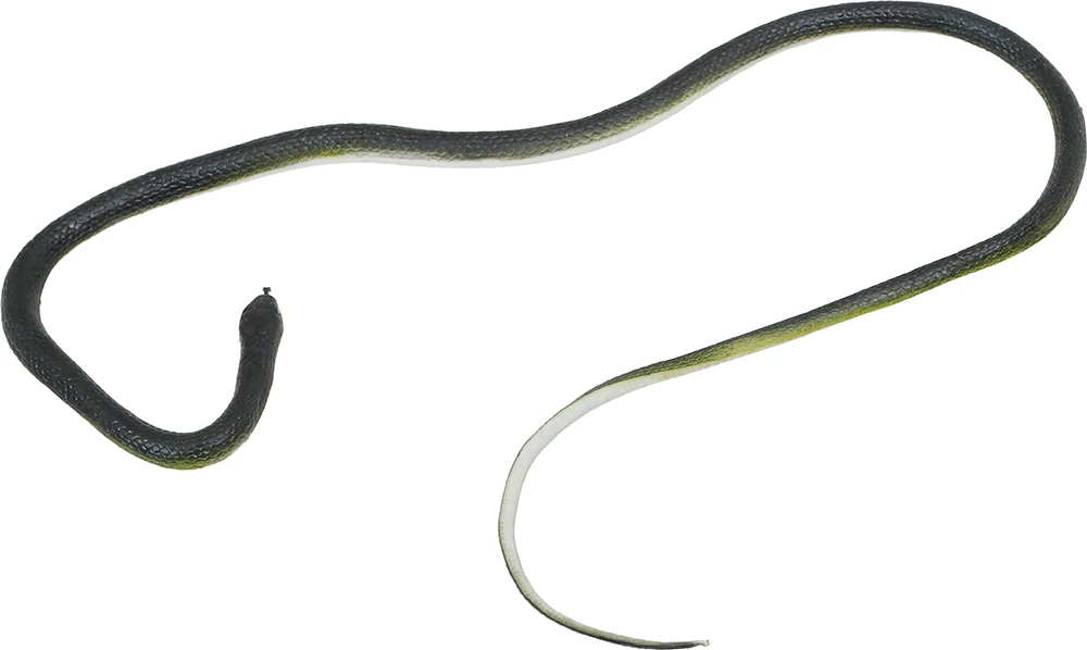 Serpiente de Broma con Hilo de Nailón y Pinza - Image 5