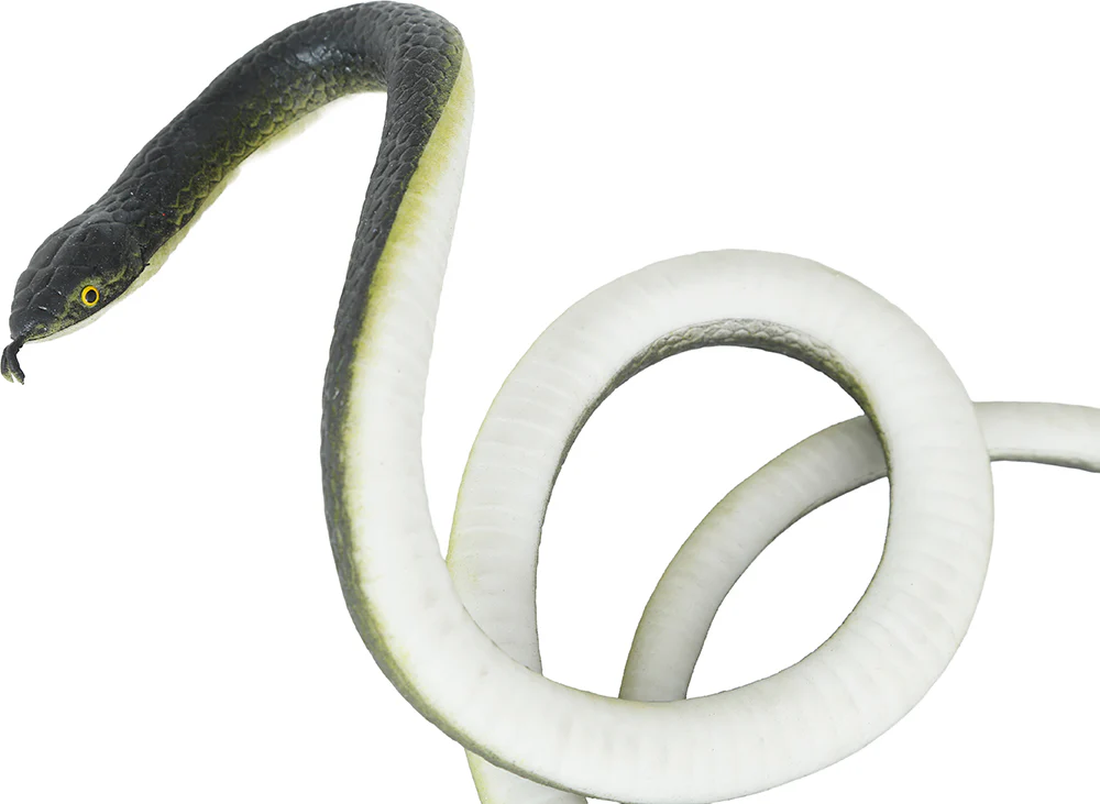 Serpiente de Broma con Hilo de Nailón y Pinza - Image 6