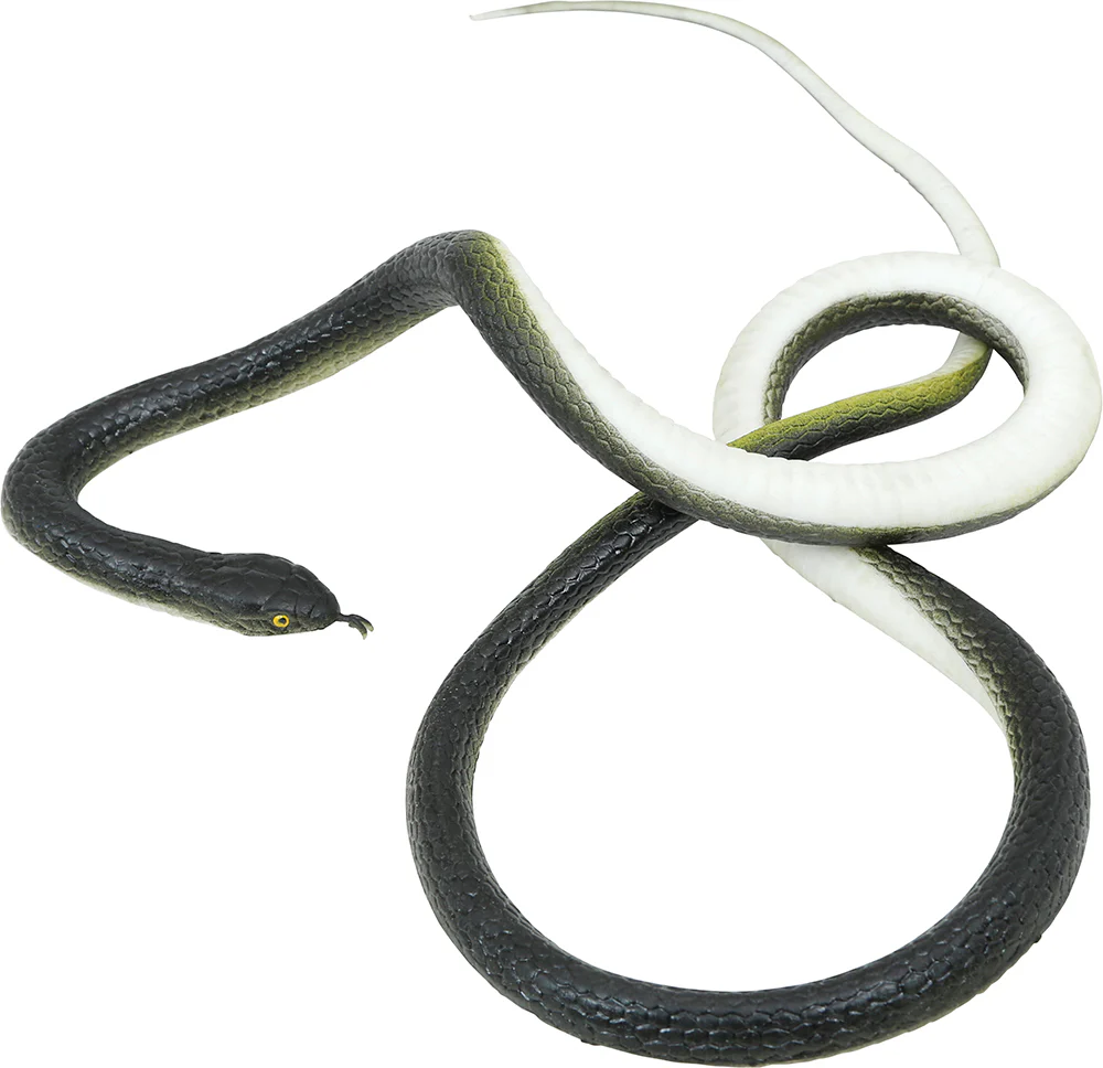 Serpiente de Broma con Hilo de Nailón y Pinza - Image 7