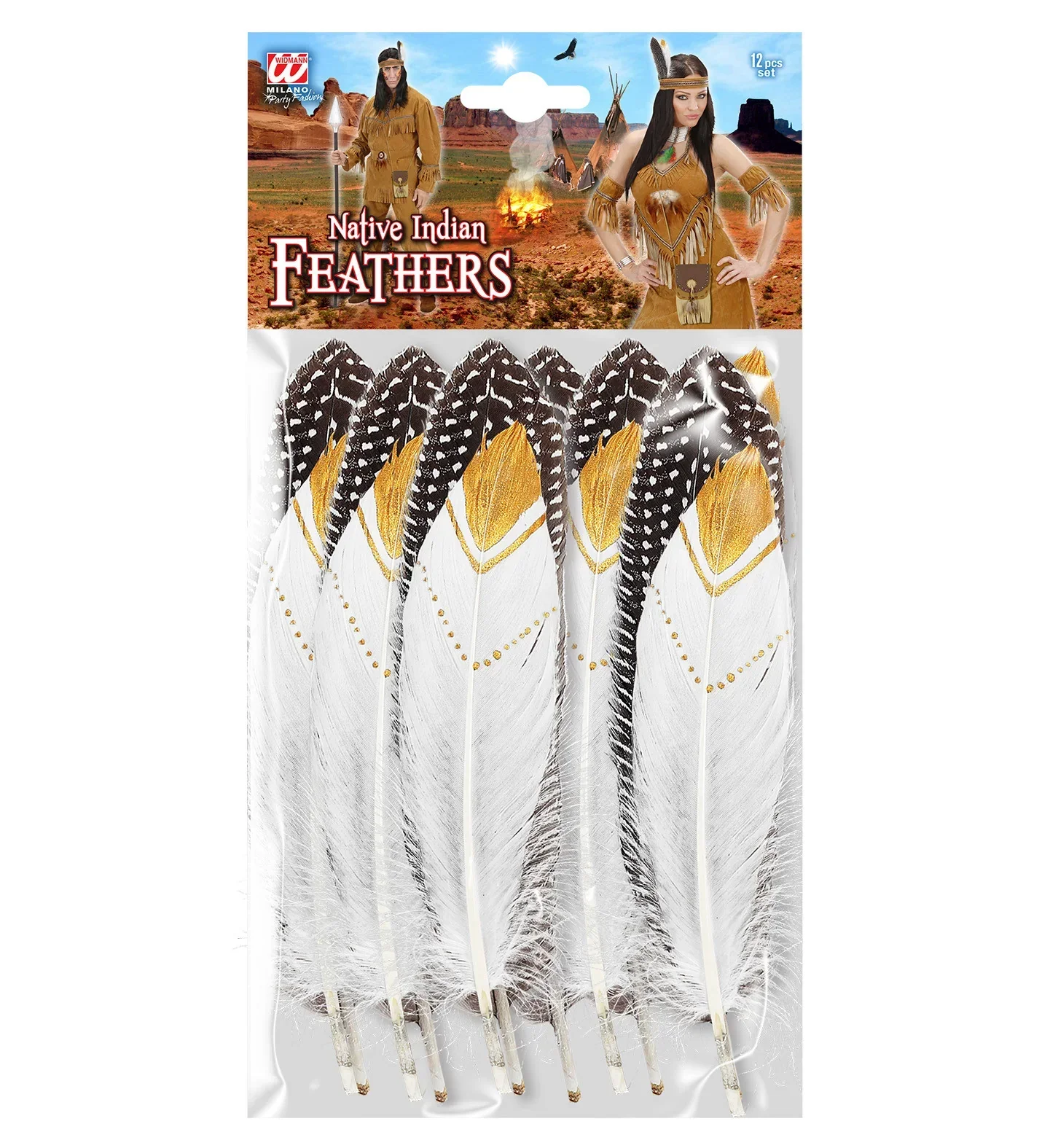 Set de Plumas de Indio Decoradas Blancas y Negras - Image 5